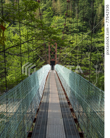 湖上的吊橋 湖上的吊橋 77642936