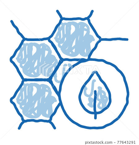 Cosmetic Ingredient Honey doodle icon hand drawn illustration Cosmetic Ingredient Honey doodle icon hand drawn illustration 77643291