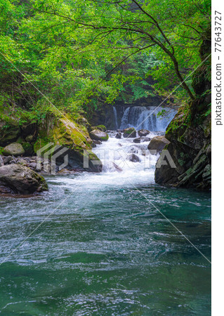 Bandokoro Kotaki on the Norikura Plateau in summer [Nagano Prefecture] 77643727