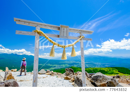 Kurumayama Shrine Torii and Hiker 77643832