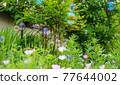Background image | Scenery with beautiful flowers and soap bubbles floating in the green 3 77644002
