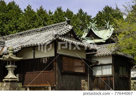 Kamisaki Shrine Haiden and Main Hall Tamashima Yashima Kurashiki City, Okayama Prefecture 77644067