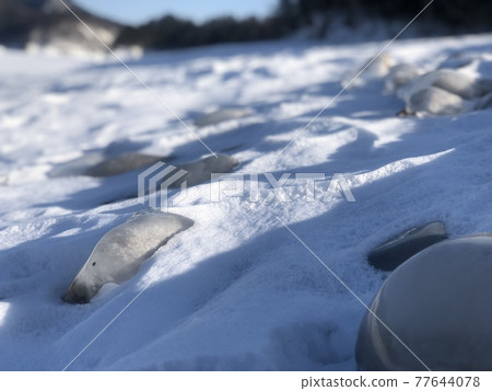 Nature in Hokkaido Nature in Hokkaido 77644078