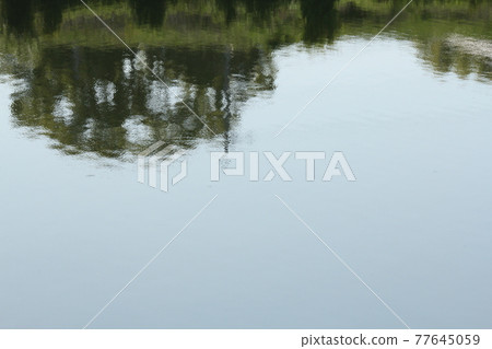 Scenery reflected in a puddle Scenery reflected in a puddle 77645059
