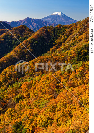 從大月和御前山看富士山和紅葉山 77645934