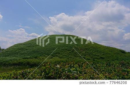 Sakitama Kofun Park Sakitama Kofun Park 77646208