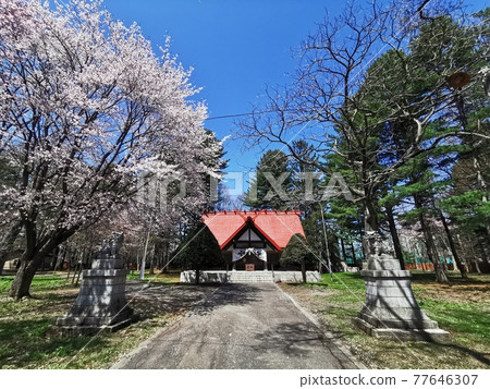 十勝護國神社(北海道帶廣市) 十勝護國神社(北海道帶廣市) 77646307