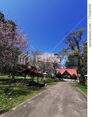 十勝護國神社(北海道帶廣市) 十勝護國神社(北海道帶廣市) 77646309