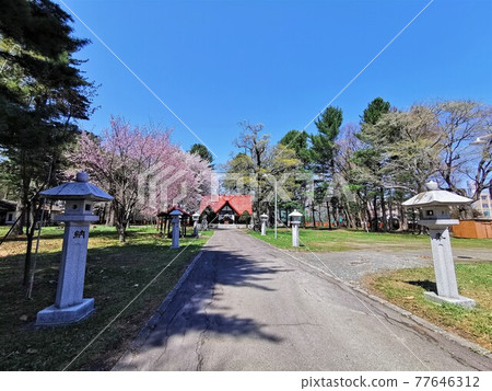 十勝護國神社(北海道帶廣市) 十勝護國神社(北海道帶廣市) 77646312