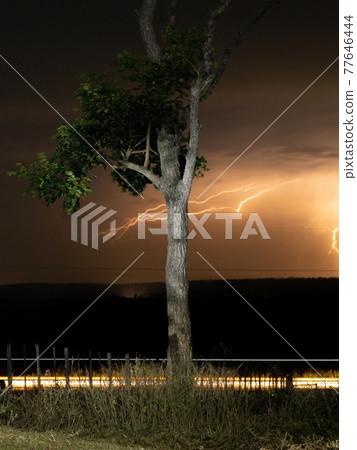 Long exposure of a tree Long exposure of a tree 77646444