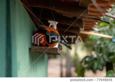 Hand spray of pesticide Hand spray of pesticide 77646656