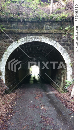 山中孤獨的隧道 山中孤獨的隧道 77646810