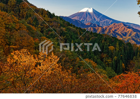 鶴山/久喜山脊線上的秋葉和富士山景色 鶴山/久喜山脊線上的秋葉和富士山景色 77646838