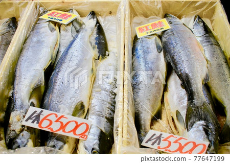 三文魚在魚市出售 三文魚在魚市出售 77647199