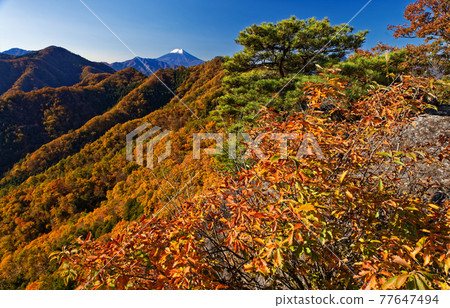 從大月市和御前山看到的紅葉山脈和富士山 77647494