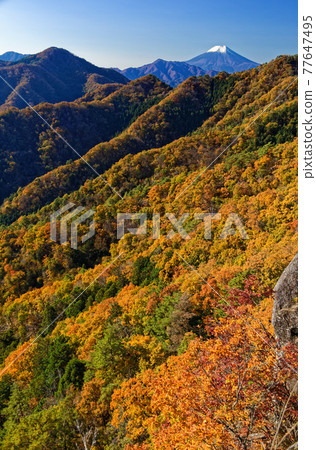 從大月市和御前山看到的紅葉山脈和富士山 77647495