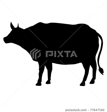 cow icon on white background. cow silhouette. cow symbol. flat style.  77647580