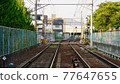 Railroad surrounded by greenery 77647655