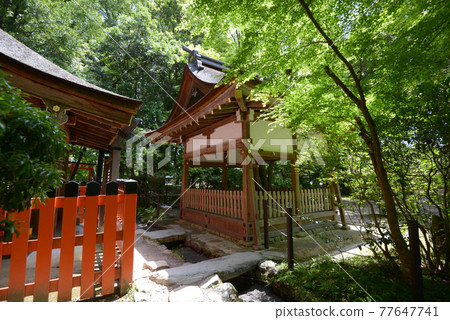 Kamigamo Shrine Kamo Yamaguchi Shrine Haiden, Kita-ku, Kyoto Kamigamo Shrine Kamo Yamaguchi Shrine Haiden, Kita-ku, Kyoto 77647741