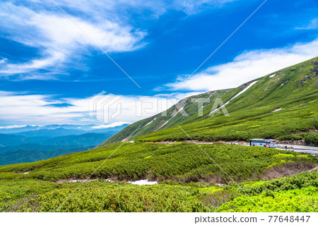 《Nagano》 Summer Mt. Norikura / Taisetsukei 《Nagano》 Summer Mt. Norikura / Taisetsukei 77648447