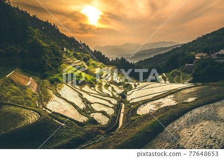 Izumiya Tanada 77648653