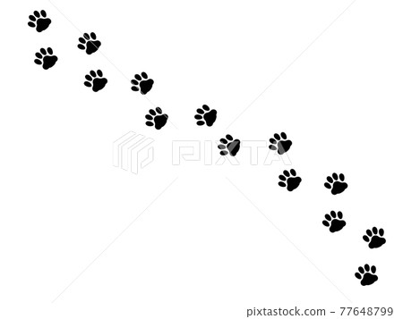 Paw crossing silhouette illustration of cat footprints 77648799