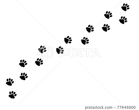 Paw crossing silhouette illustration of cat footprints 02 77648800