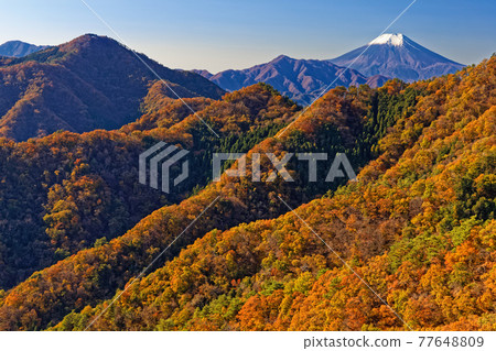 從大月市御前山眺望秋天的富士山和久岐山 從大月市御前山眺望秋天的富士山和久岐山 77648809