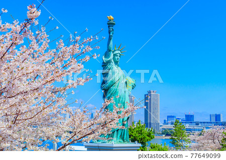 [Tokyo cityscape] Sakura and Odaiba cityscape 77649099