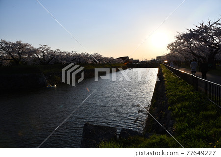 春天五棱郭 春天五棱郭 77649227