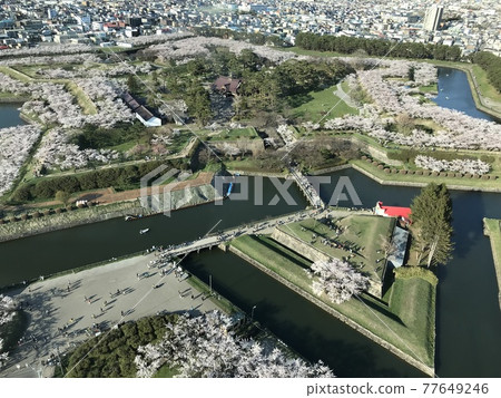 Spring Goryokaku Spring Goryokaku 77649246