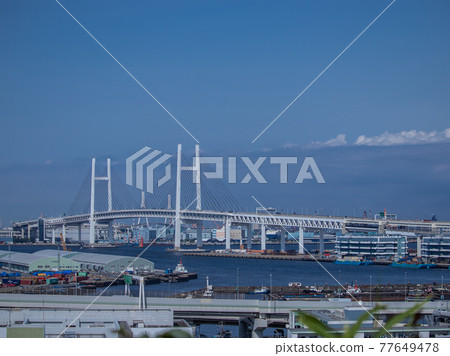 Bay Bridge Yamashita Pier scenery 77649478