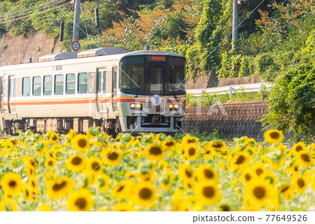 《Hyogo Prefecture》 Sayo Town Train and sunflower field 77649526