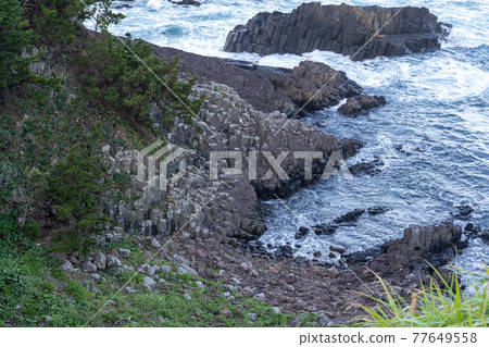 Columnar joint 77649558