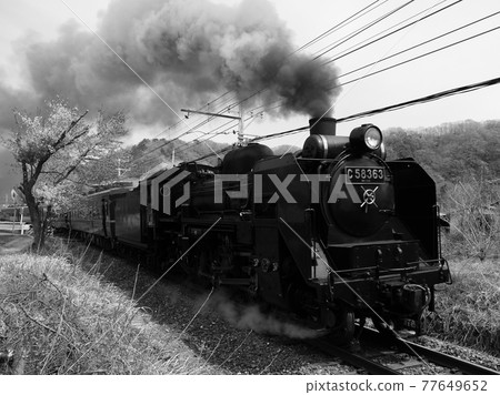 SL Pareo Express SL Pareo Express 77649652