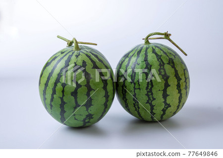 西瓜 西瓜 77649846