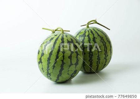 watermelon 77649850