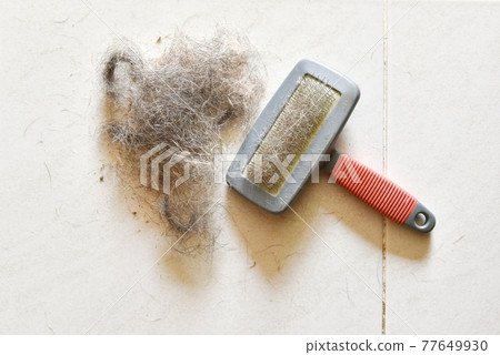 Big pile of dog hair and which brush to comb out the dog on floor, Bunch of dog hair after grooming, Shedding tool, Hair combed from the dog with brush, top view 77649930