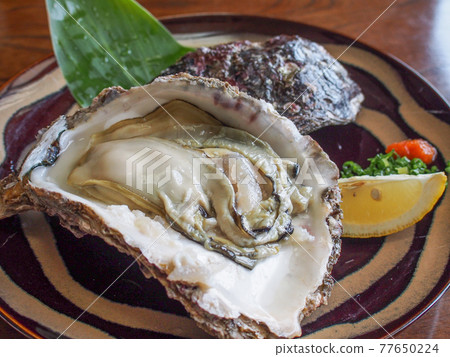 Natural rock oysters from Oita and Saganoseki 77650224