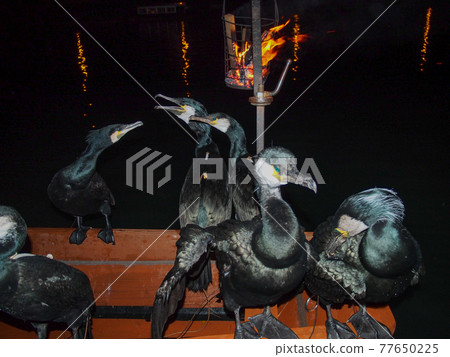 Mizugo Hitano的牧羊人 77650225