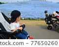 一個蹣跚學步的孩子和一隻狗看著日立海濱公園的尼莫菲拉的背影 77650260