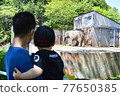 一個蹣跚學步的孩子看著大象和他的父親抱著它的背影/宇都宮動物園 77650385