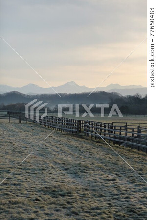 Frosted early morning ranch (Shinhidaka Town, Hokkaido) 77650483