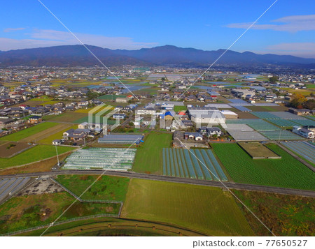 Aerial view in Tokushima plain-drone (Yoshino River left bank / Kamiitacho Isobe, Tokushima Prefecture) Aerial view in Tokushima plain-drone (Yoshino River left bank / Kamiitacho Isobe, Tokushima Prefecture) 77650527