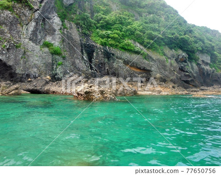 在平戶海劃皮划艇 在平戶海劃皮划艇 77650756
