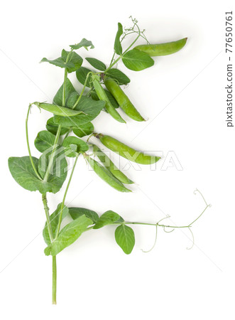 Isolated sweet green peas with green leaves. Top view. Isolated sweet green peas with green leaves. Top view. 77650761