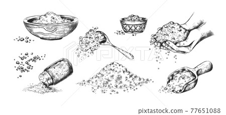 Sea salt sketch. Hand drawn seasoning in wooden bowls or glass saltcellar. Scoop and spoon full of crystals. Black and white salty spices. Vector cooking ingredient for food conservation 77651088