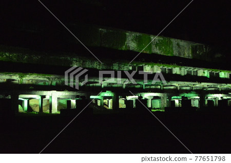 綠化的“浮選植物踪跡”（北澤佐渡金礦/新潟市佐渡市相川北澤町3-2） 77651798