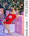 Dog in santa costume is sitting under christmas tree with gifts in studio 77651990
