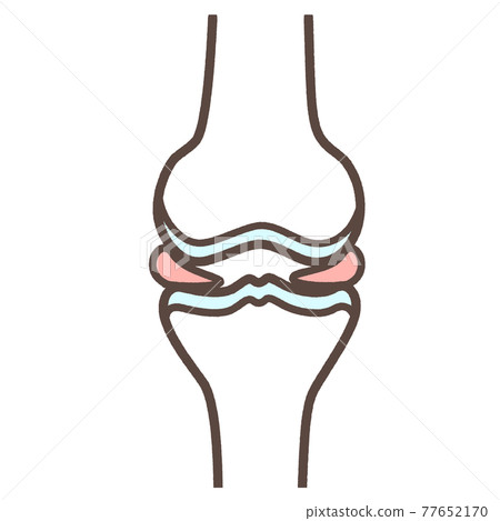 Simple illustration of normal knee joint 77652170